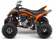 Yamaha YFM250R Yamaha YFM250R